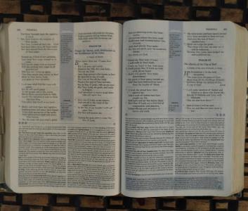 Truth for Sale! Only edible when wrapped in sugar coating- PART 2 | BoladeonWebsite