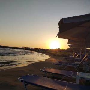 Why not show off if you’ve got something to show? | BoladeonWebsite